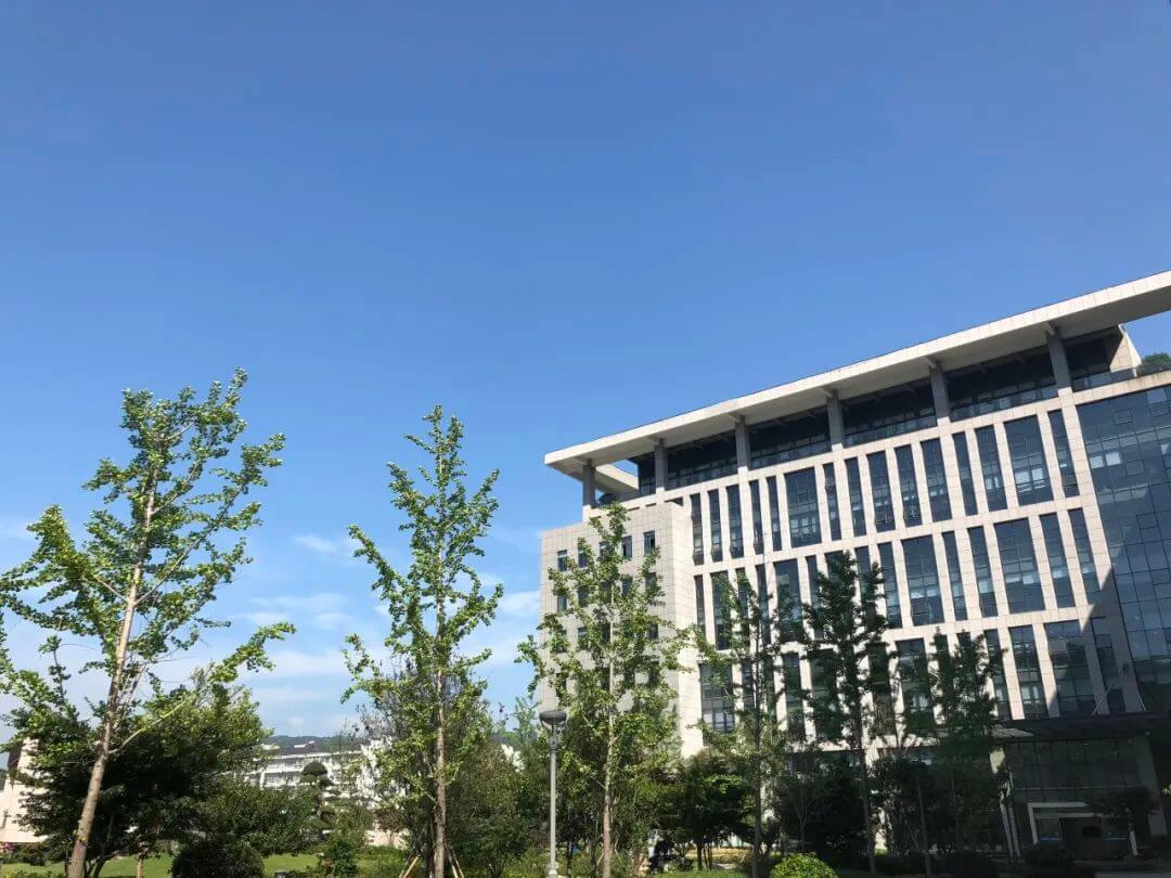 Shengjiu Group
