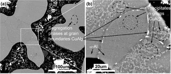 Electron Microscopy of Aluminum Powder Sintering Neck (Copper Powder Mass Fraction 3.5wt%)